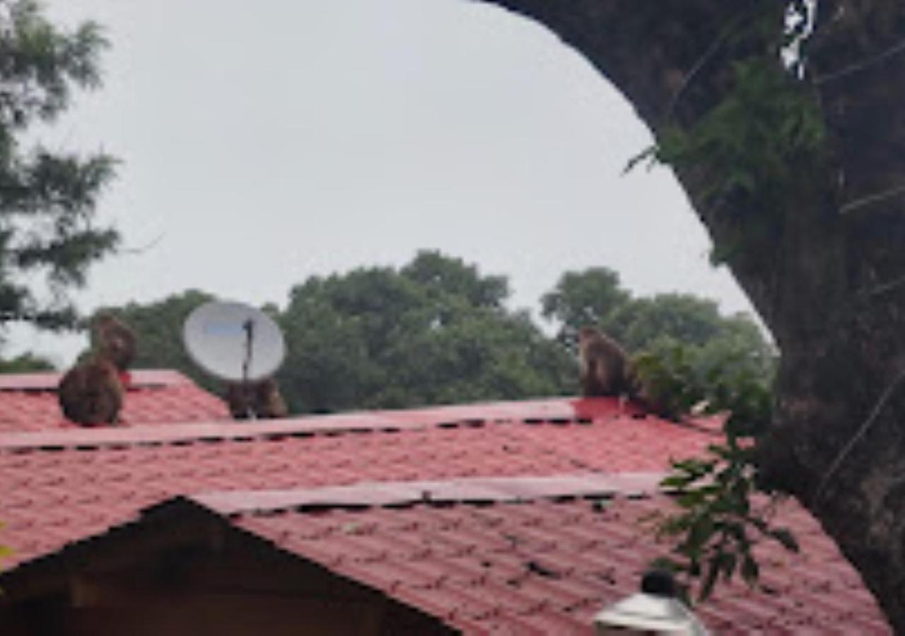 Kaas Woods Resort Yavateshwar Satara Esterno foto