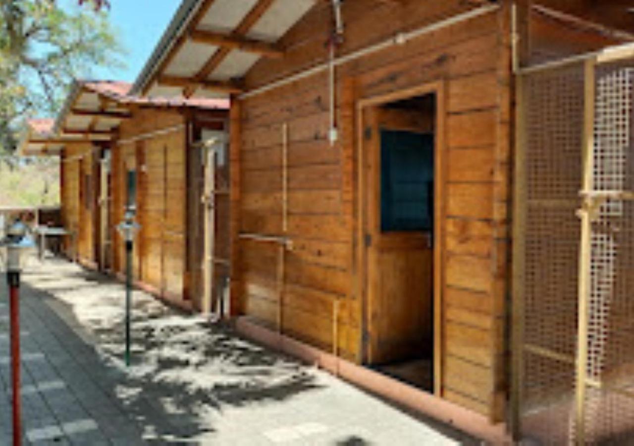 Kaas Woods Resort Yavateshwar Satara Esterno foto